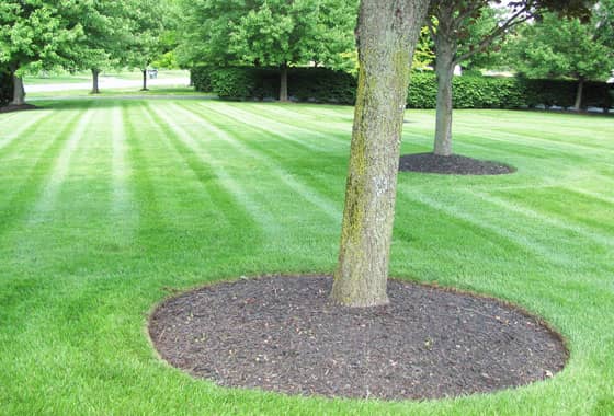 Mulch Delivery and Installation — Best Landscaping Services in Macomb
