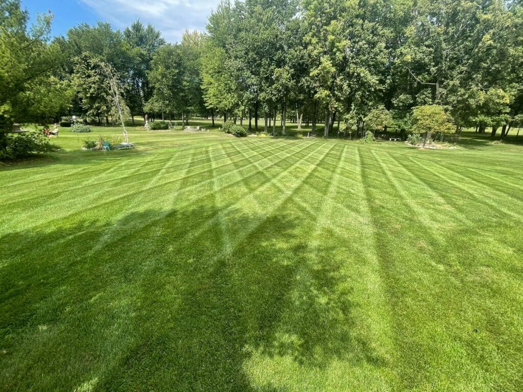 Tatrabuilt Lawn Mowing Services Residential and Commercial