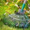 Michigan Spring Clean Up Services – Residential Landscape Design