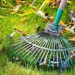 Michigan Spring Clean Up Services – Residential Landscape Design
