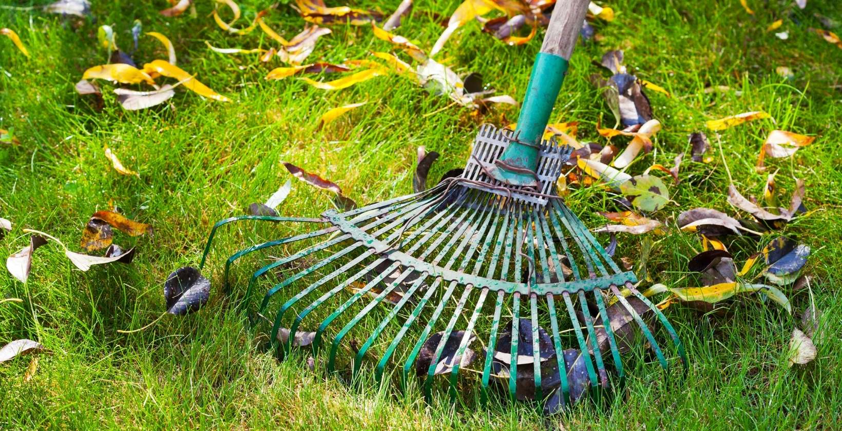 Michigan Spring Clean Up Services – Residential Landscape Design