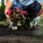 Spring yard cleanup as part of residential landscape design services