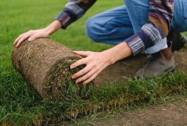 Sod Delivery and Installation services- Best Landscaping Services in Macomb