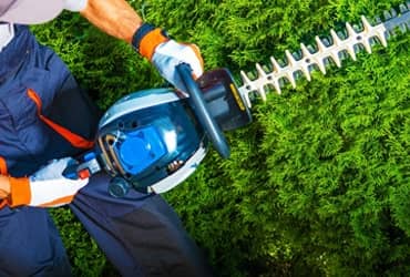 Shrub Trimming — Best Landscaping Services in Macomb for neat landscaping