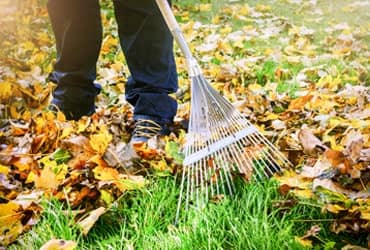Michigan Spring Clean Up