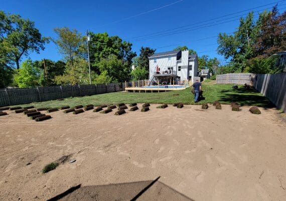 Freshly installed sod enhancing a yard with professional landscape design services