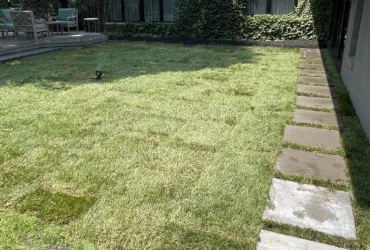 Lawn maintenance and care - Best Landscaping Services in Macomb