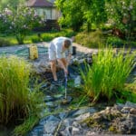 Affordable Pond Cleanup Services removing muck and algae from backyard pond