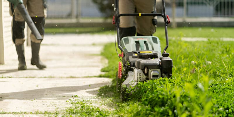 Lawn Mowing Services enhancing grass growth with professional mowing and care