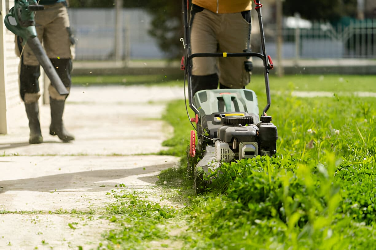Lawn Mowing Services enhancing grass growth with professional mowing and care
