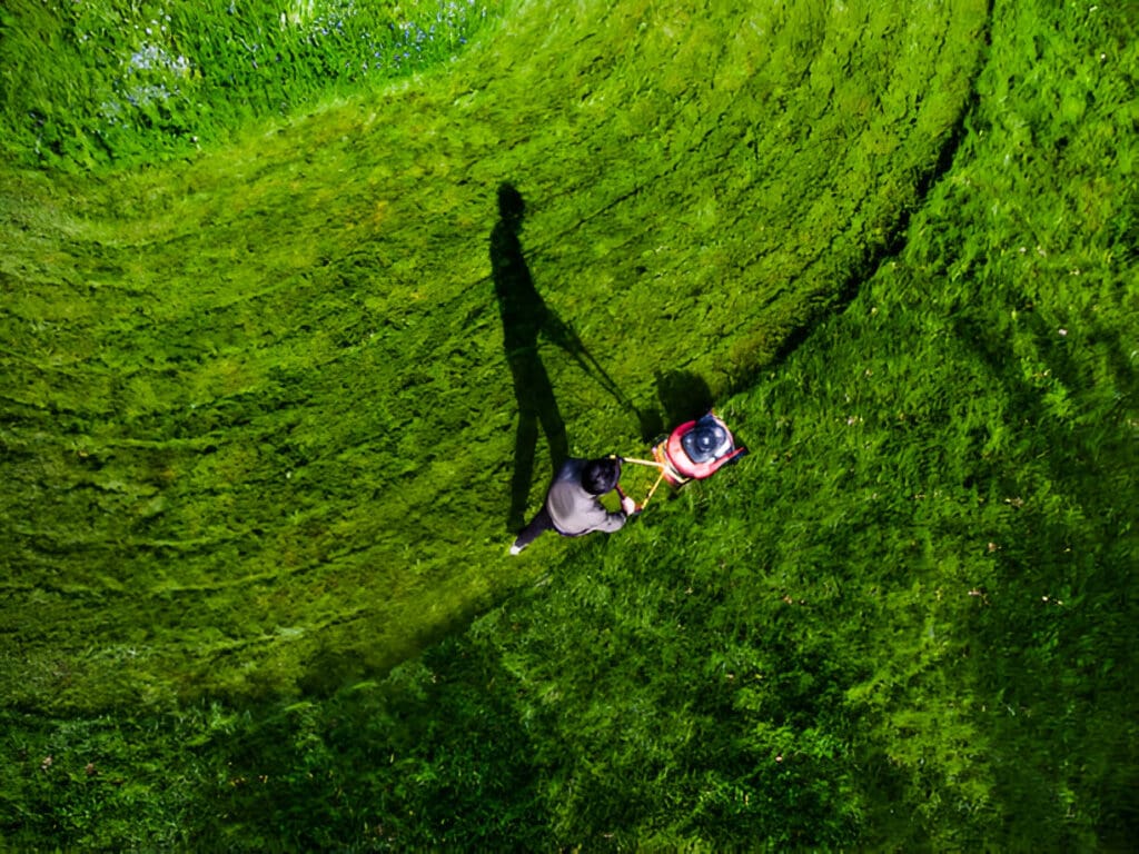 Routine lawn mowing services promoting grass growth