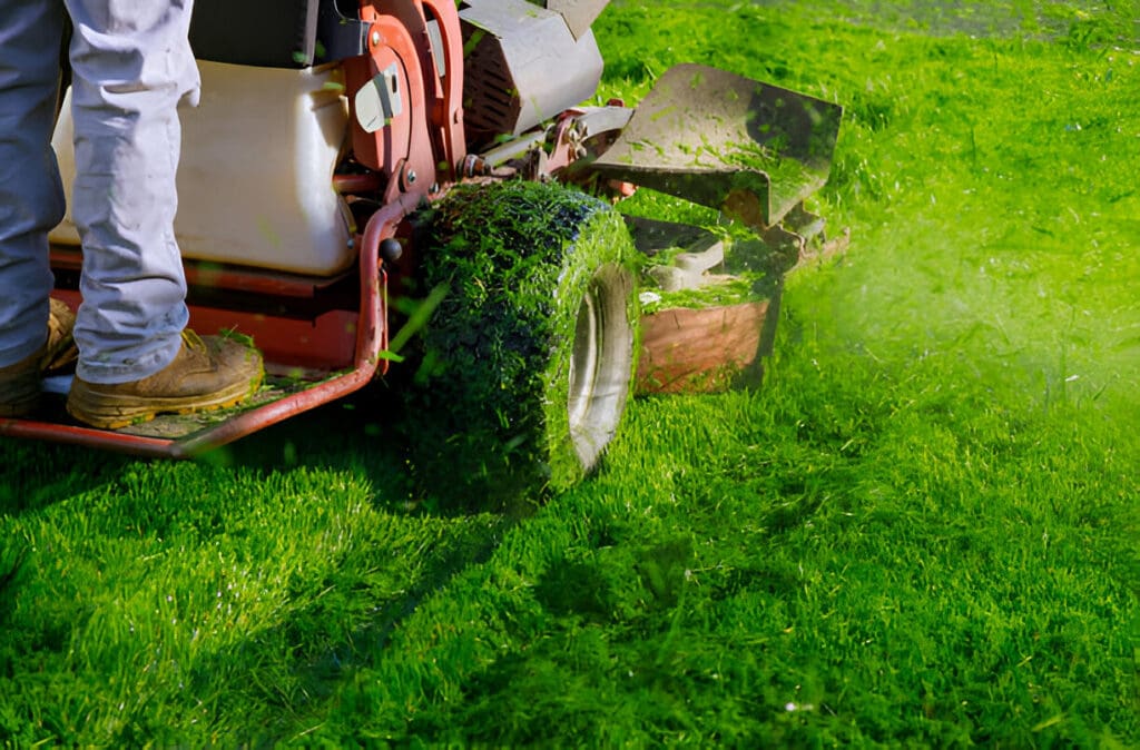 Close-up of mower used in professional lawn mowing services